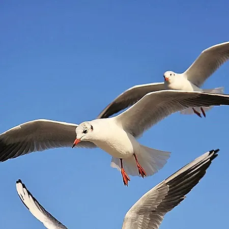 Appartementhaus Seewind 4 Rerik